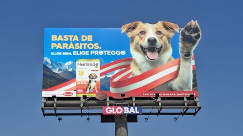 PROTEGO